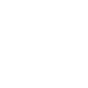 icon 保潔墊防蟎蟲