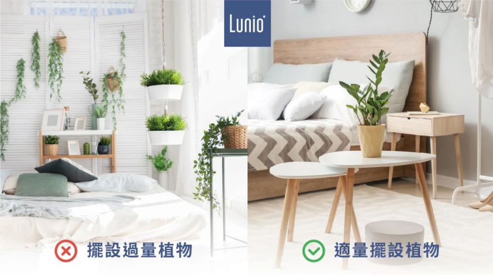 臥室植栽佈置宜適量