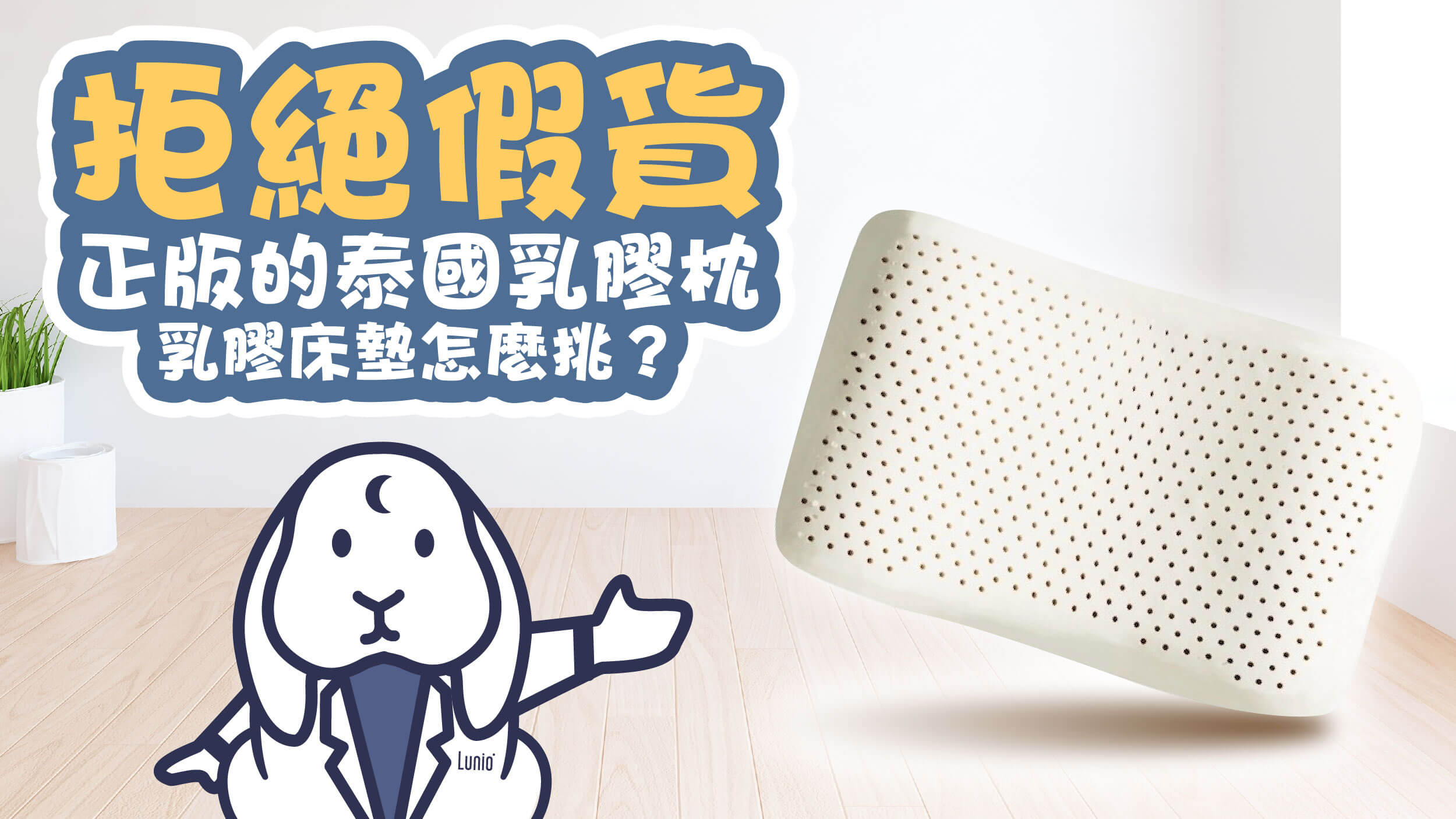 拒絕假貨，正版的泰國乳膠枕、乳膠床墊怎麼挑？