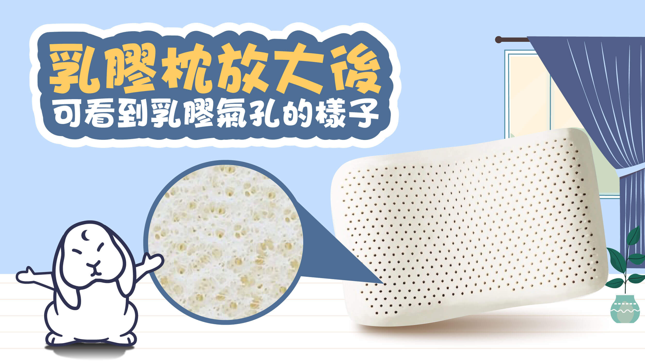 乳膠枕有天然氣孔，透氣不悶熱