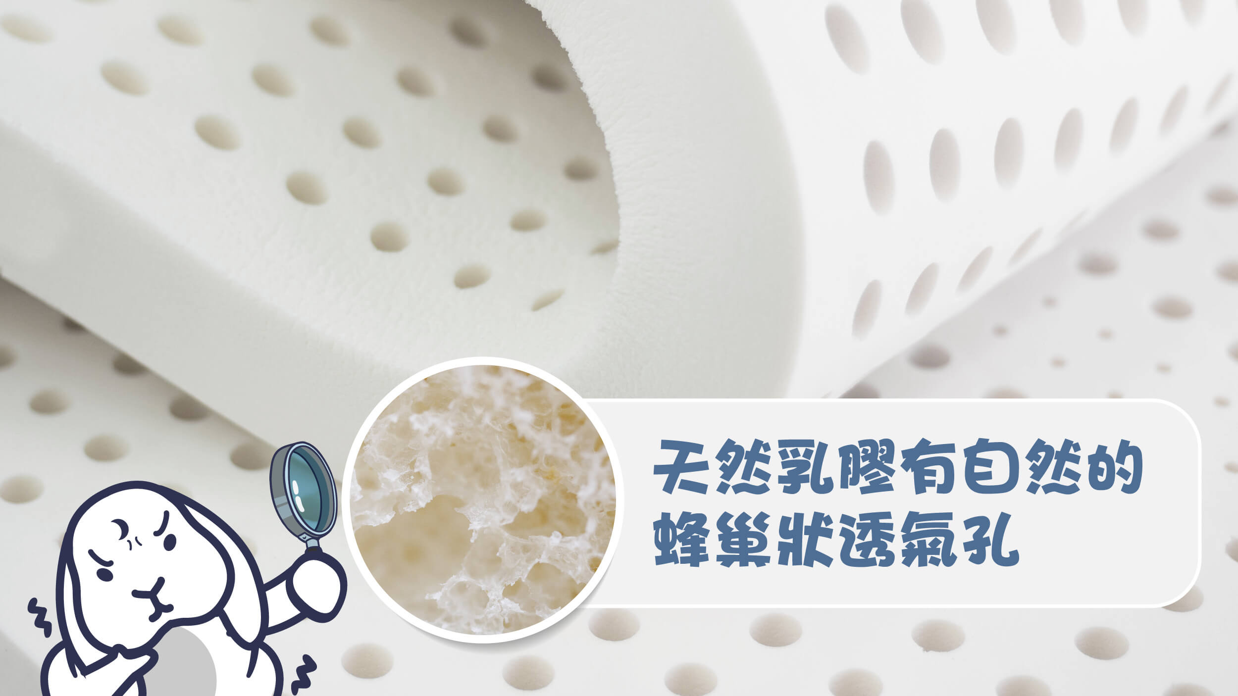 天然乳膠有蜂巢狀透氣孔