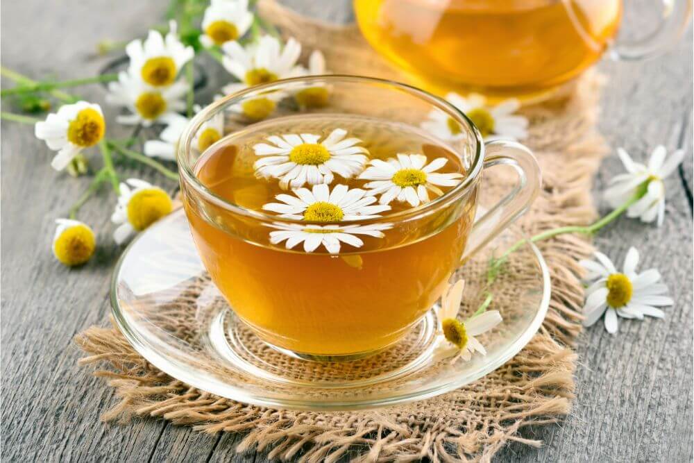 助眠茶推薦：洋甘菊茶